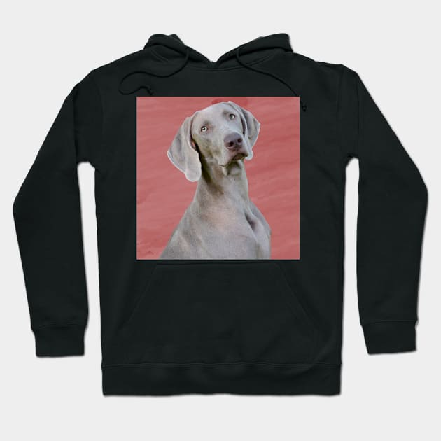 Weimaraner Hoodie by Noamdelf06